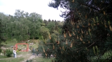 Альбом отзыва "Киев, Ботанический сад. Весна-лето, осень-зима, а в середине Вечность! Осень."