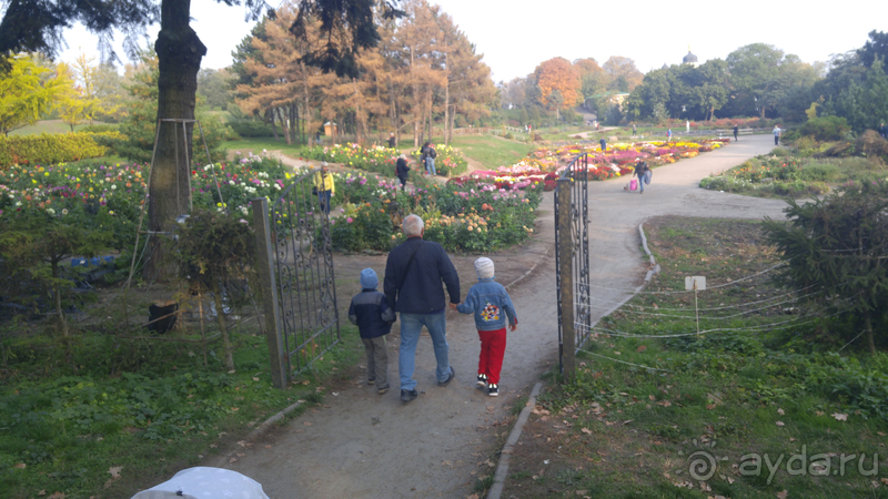 Альбом отзыва "Киев, Ботанический сад. Весна-лето, осень-зима, а в середине Вечность! Осень."