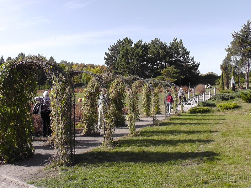 Альбом отзыва "Киев, Ботанический сад. Весна-лето, осень-зима, а в середине Вечность! Осень."