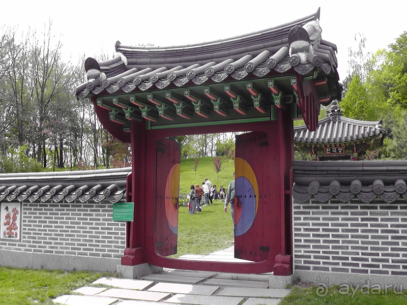 Альбом отзыва "Киев, Ботанический сад. Весна-лето, осень-зима, а в середине Вечность! Осень."