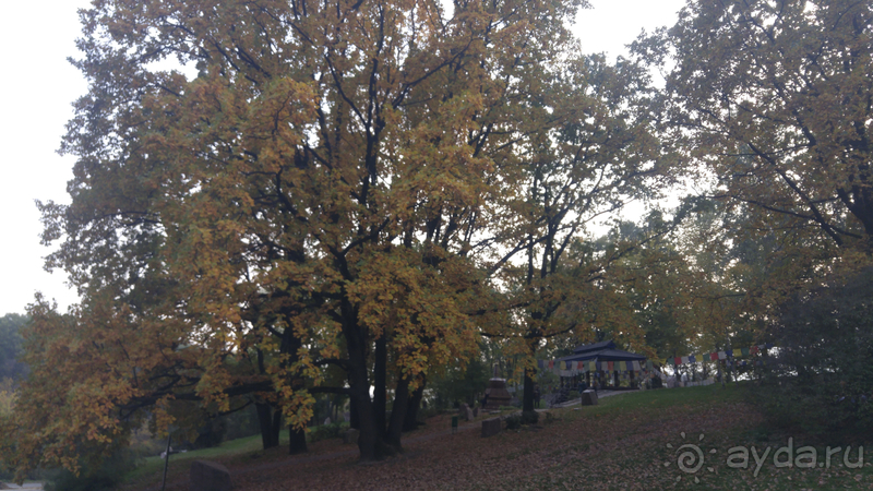 Альбом отзыва "Киев, Ботанический сад. Весна-лето, осень-зима, а в середине Вечность! Осень."