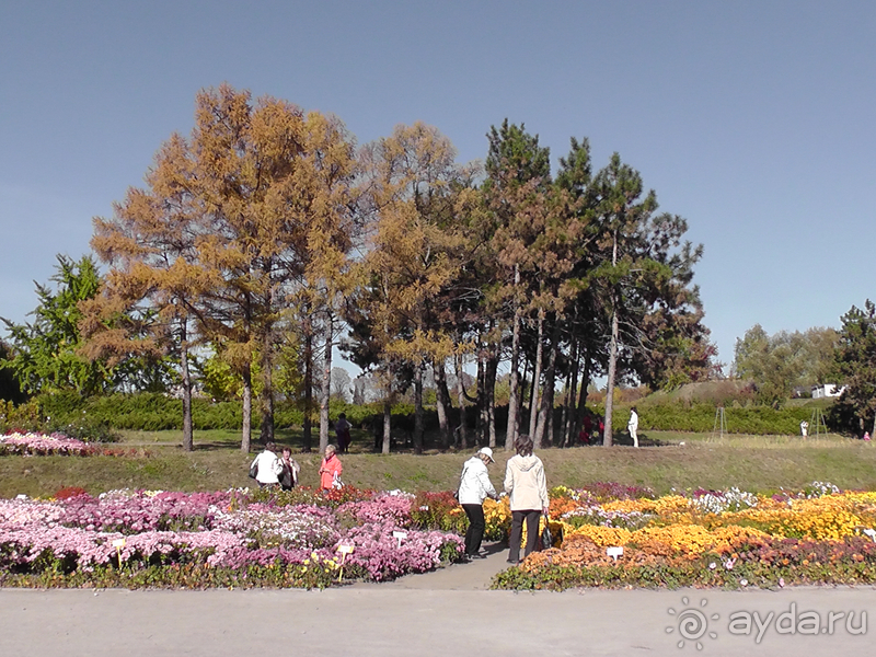 Альбом отзыва "Киев, Ботанический сад. Весна-лето, осень-зима, а в середине Вечность! Осень."