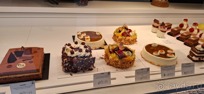 фото Баден-Вюртемберга