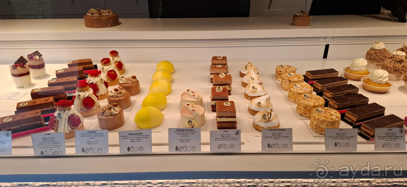 фото Баден-Вюртемберга