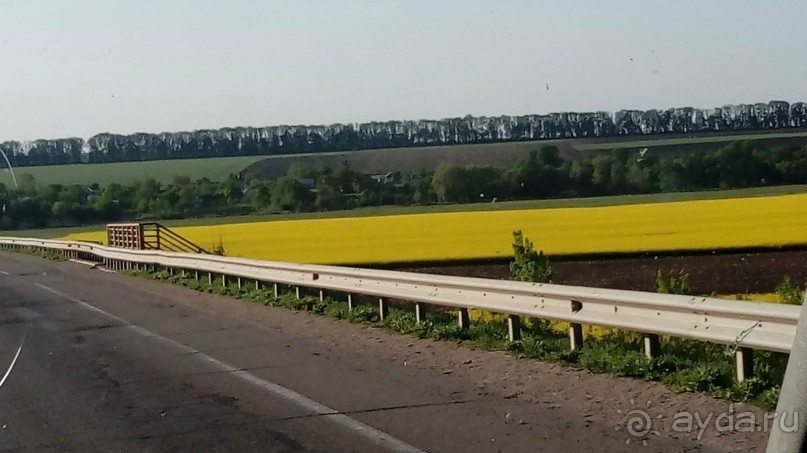 Альбом отзыва "г. Умань, Черкасская область. Небольшой «город Z» с большой историей."