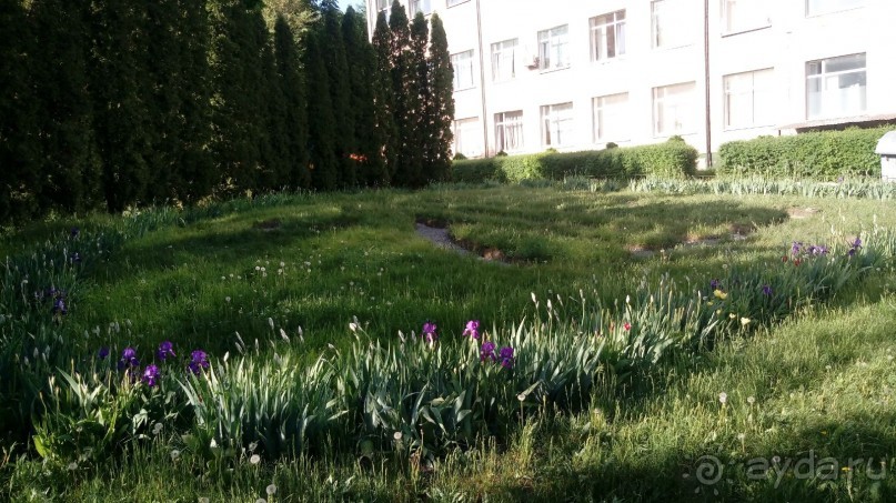 г. Умань, Черкасская область. Небольшой «город Z» с большой историей.