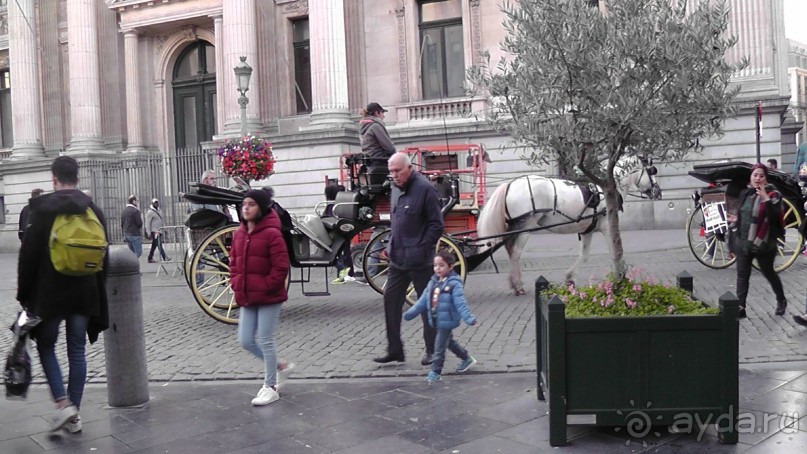 Брюссель, Бельгия. «Гулять, так гулять!». Еврогород с «чревом» -Нижний город. 