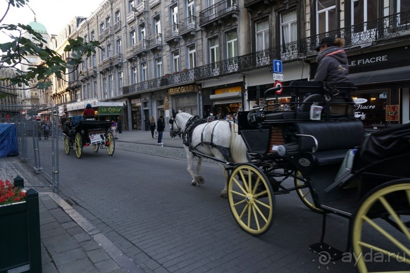 Альбом отзыва "Брюссель, Бельгия. «Гулять, так гулять!». Еврогород с «чревом» -Нижний город. "