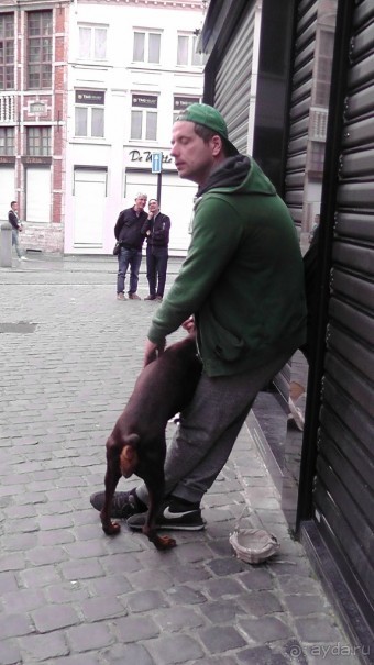 Брюссель, Бельгия. «Гулять, так гулять!». Еврогород с «чревом» -Нижний город. 