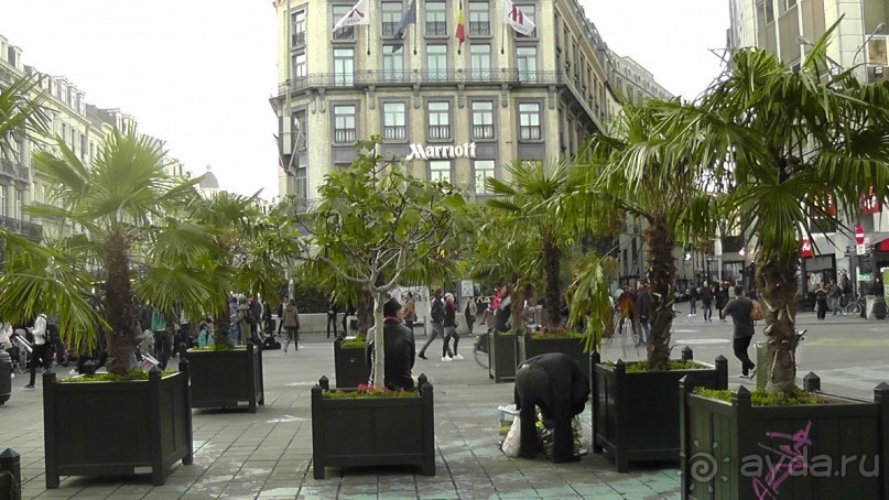 Брюссель, Бельгия. «Гулять, так гулять!». Еврогород с «чревом» -Нижний город. 