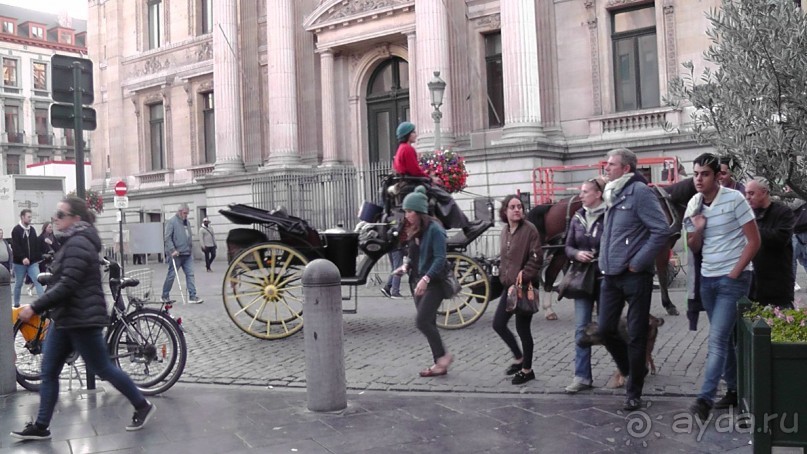 Брюссель, Бельгия. «Гулять, так гулять!». Еврогород с «чревом» -Нижний город. 