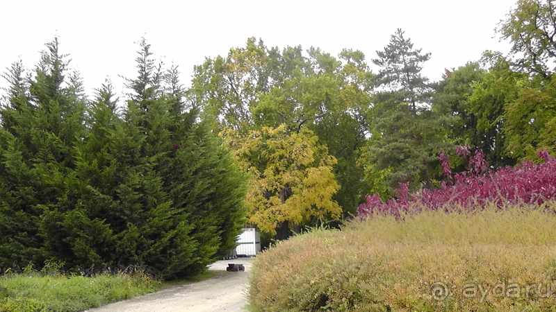 Гёдёллё. Это Венгрия!  Дача австро-венгерской королевы Сисси.