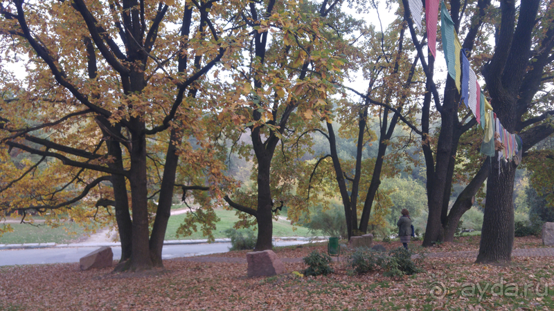 Киев, Ботанический сад. Весна-лето, осень-зима, а в середине Вечность! Осень.