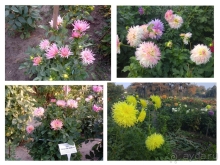 Киев, Ботанический сад. Весна-лето, осень-зима, а в середине Вечность! Осень.