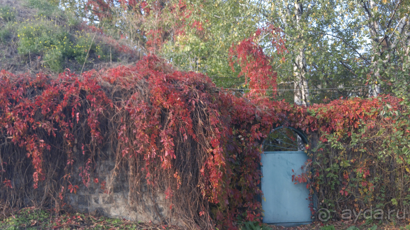 Киев, Ботанический сад. Весна-лето, осень-зима, а в середине Вечность! Осень.