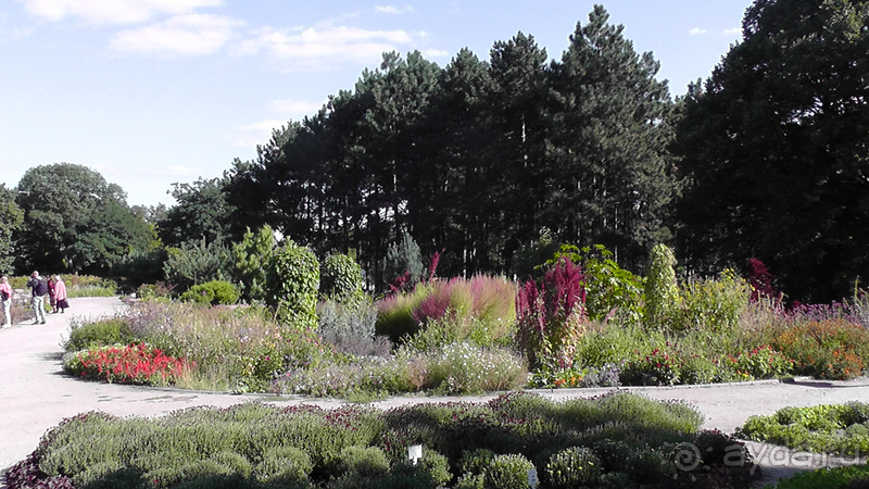 Киев, Ботанический сад. Весна-лето, осень-зима, а в середине Вечность! Осень.