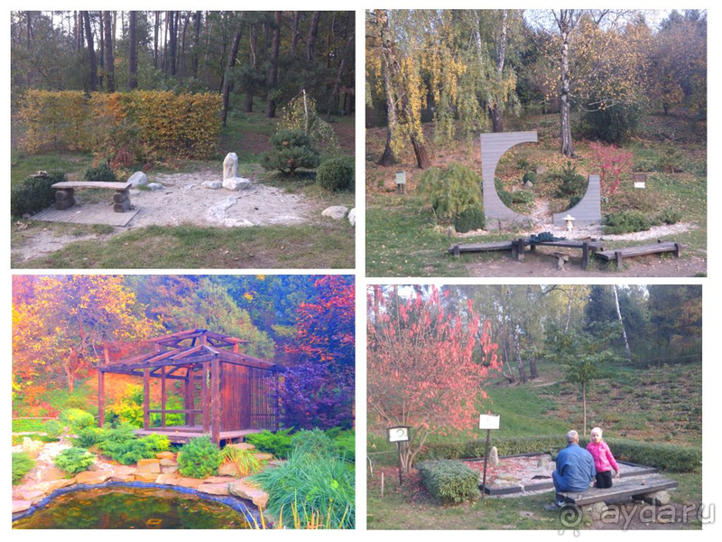 Киев, Ботанический сад. Весна-лето, осень-зима, а в середине Вечность! Осень.
