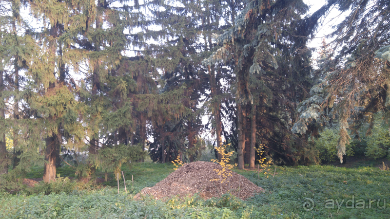 Киев, Ботанический сад. Весна-лето, осень-зима, а в середине Вечность! Осень.