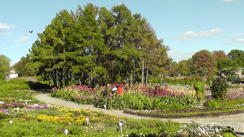 Киев, Ботанический сад. Весна-лето, осень-зима, а в середине Вечность! Осень.