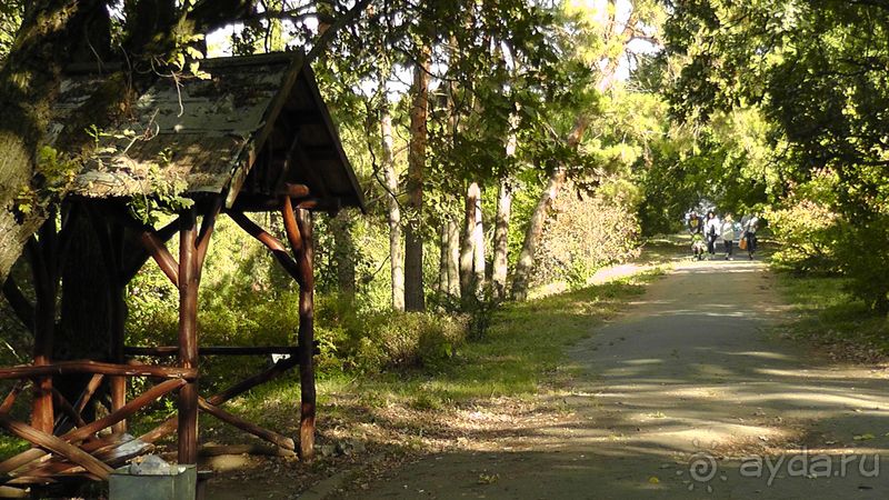 Киев, Ботанический сад. Весна-лето, осень-зима, а в середине Вечность! Осень.