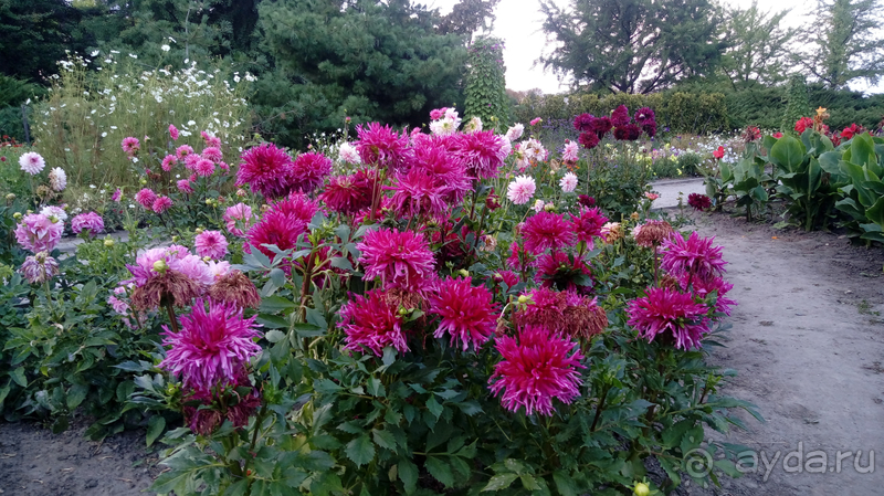 Киев, Ботанический сад. Весна-лето, осень-зима, а в середине Вечность! Осень.
