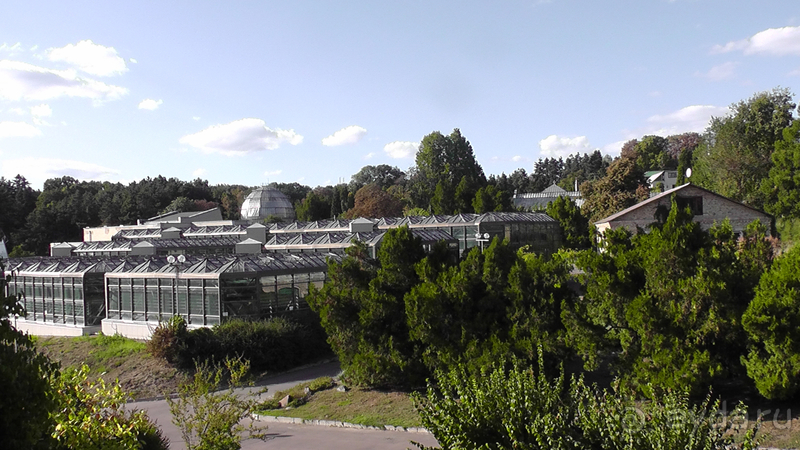 Киев, Ботанический сад. Весна-лето, осень-зима, а в середине Вечность! Осень.