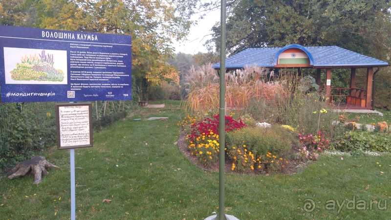 Киев, Ботанический сад. Весна-лето, осень-зима, а в середине Вечность! Осень.