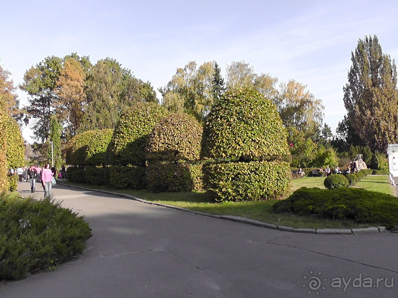 Киев, Ботанический сад. Весна-лето, осень-зима, а в середине Вечность! Осень.