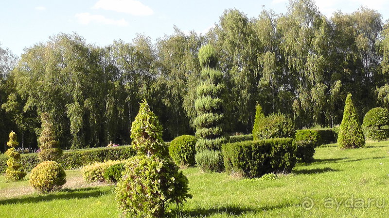 Киев, Ботанический сад. Весна-лето, осень-зима, а в середине Вечность! Осень.