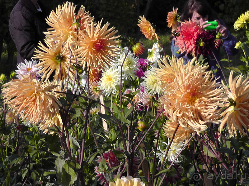 Киев, Ботанический сад. Весна-лето, осень-зима, а в середине Вечность! Осень.