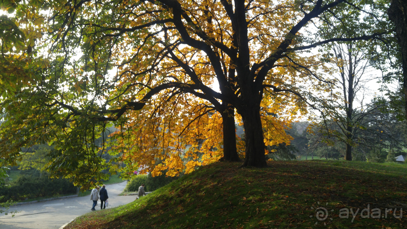 Киев, Ботанический сад. Весна-лето, осень-зима, а в середине Вечность! Осень.
