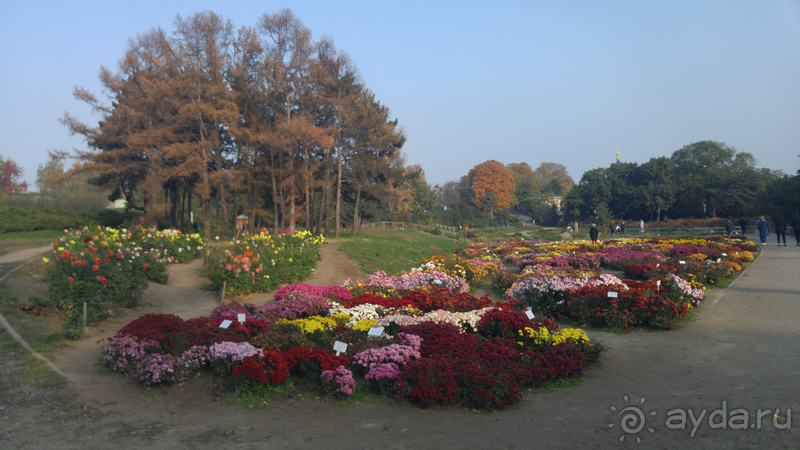 Киев, Ботанический сад. Весна-лето, осень-зима, а в середине Вечность! Осень.