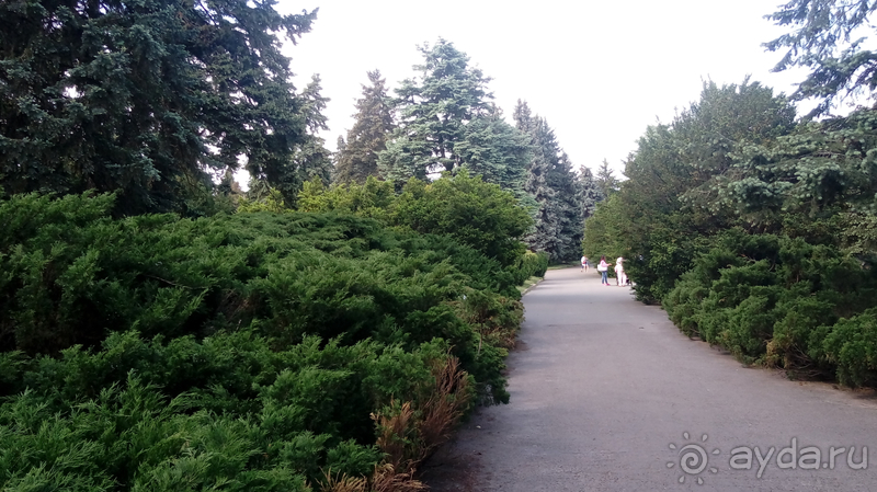 Киев, Ботанический сад. Весна-лето, осень-зима, а в середине Вечность! Осень.