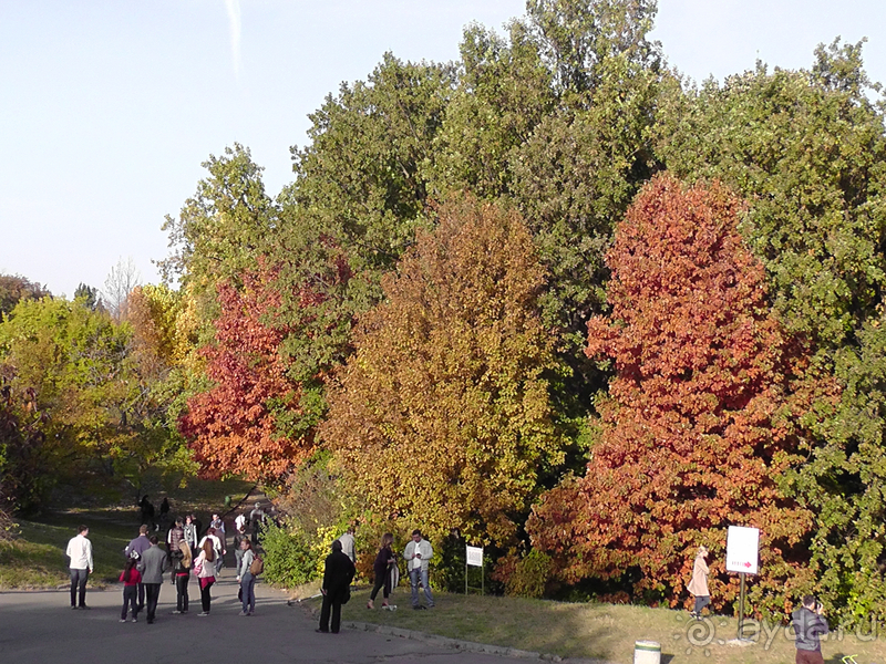 Киев, Ботанический сад. Весна-лето, осень-зима, а в середине Вечность! Осень.