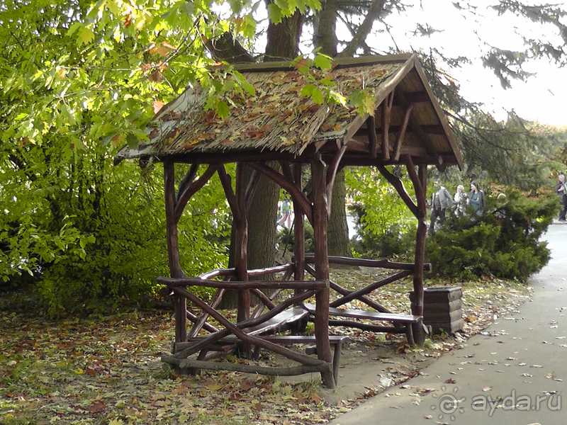 Киев, Ботанический сад. Весна-лето, осень-зима, а в середине Вечность! Осень.