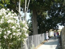 Корфу - остров плывущий во Вселенной! Часть II, столица г. Керкира.