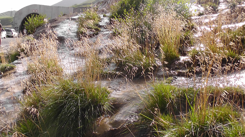 Грузия. Попала в Грузию в карантин и я попала… Военно-Грузинская дорога. Назад от Казбека II.