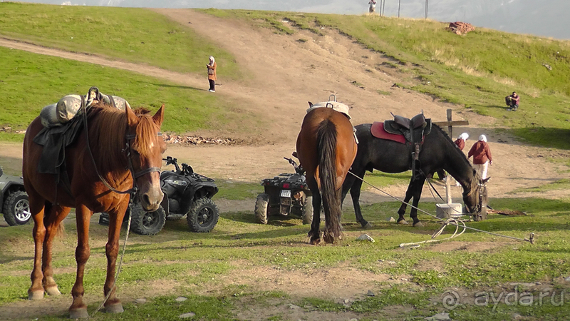 Грузия. Попала в Грузию в карантин и я попала… Военно-Грузинская дорога. Назад от Казбека II.