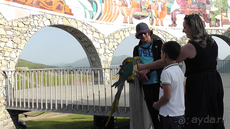 Грузия. Попала в Грузию в карантин и я попала… Военно-Грузинская дорога. Назад от Казбека II.