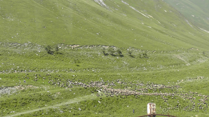 Грузия. Попала в Грузию в карантин и я попала… Военно-Грузинская дорога. Назад от Казбека II.