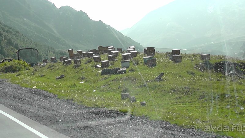 Грузия. Попала в Грузию в карантин и я попала… Военно-Грузинская дорога. Назад от Казбека II.