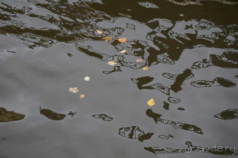 Санкт-Петербург, Россия. По городу пешком, ночь - часть IV.