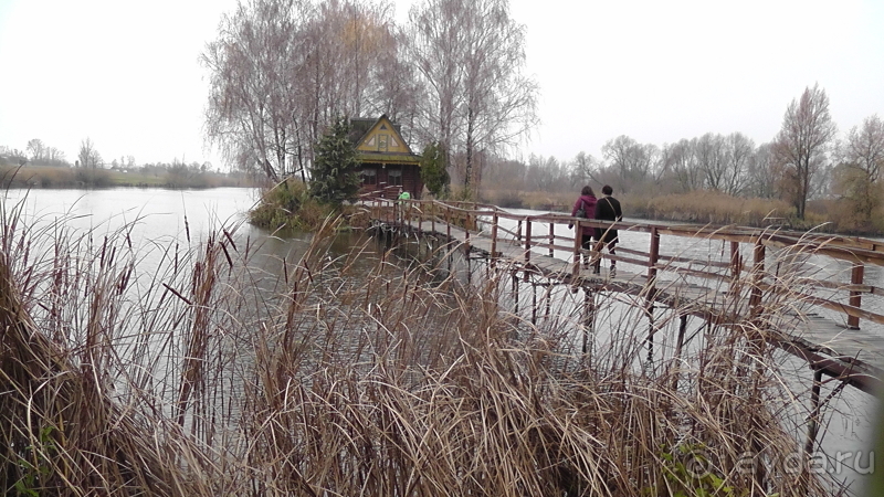 Житомирская область. Остров Любви - «... особенно мне милый уголок».