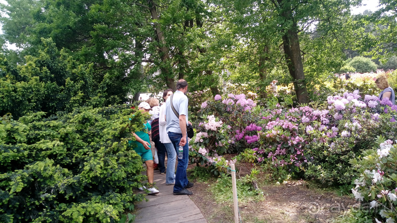 Альбом отзыва "Киев, Ботанический сад. Весна-лето, осень-зима, а в середине Вечность! Весна."