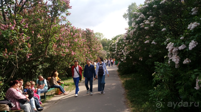 Альбом отзыва "Киев, Ботанический сад. Весна-лето, осень-зима, а в середине Вечность! Весна."