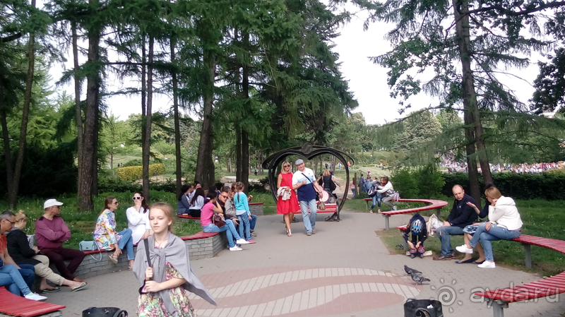 Альбом отзыва "Киев, Ботанический сад. Весна-лето, осень-зима, а в середине Вечность! Весна."