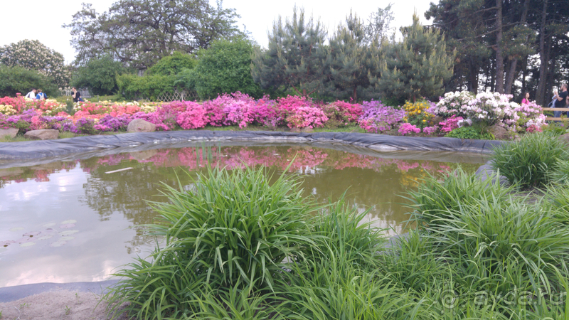 Альбом отзыва "Киев, Ботанический сад. Весна-лето, осень-зима, а в середине Вечность! Весна."