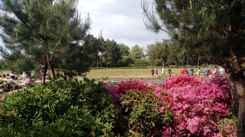 Альбом отзыва "Киев, Ботанический сад. Весна-лето, осень-зима, а в середине Вечность! Весна."