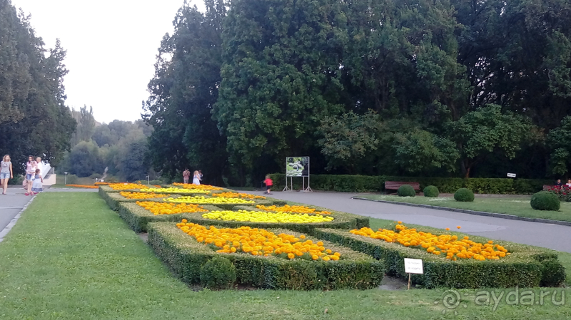 Альбом отзыва "Киев, Ботанический сад. Весна-лето, осень-зима, а в середине Вечность! Весна."
