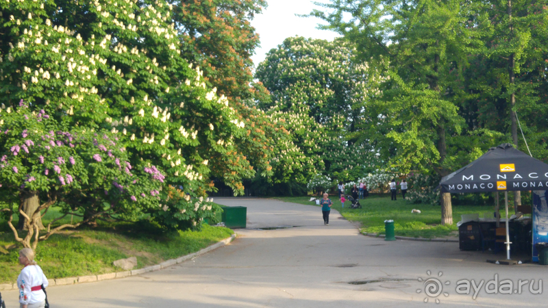 Альбом отзыва "Киев, Ботанический сад. Весна-лето, осень-зима, а в середине Вечность! Весна."